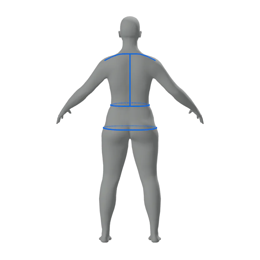 3D body from behind with shoulder, back length, waist and hip lines