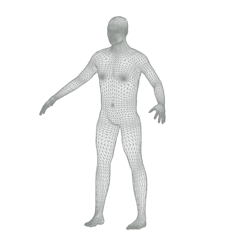 Wireframe of the 3D body mesh