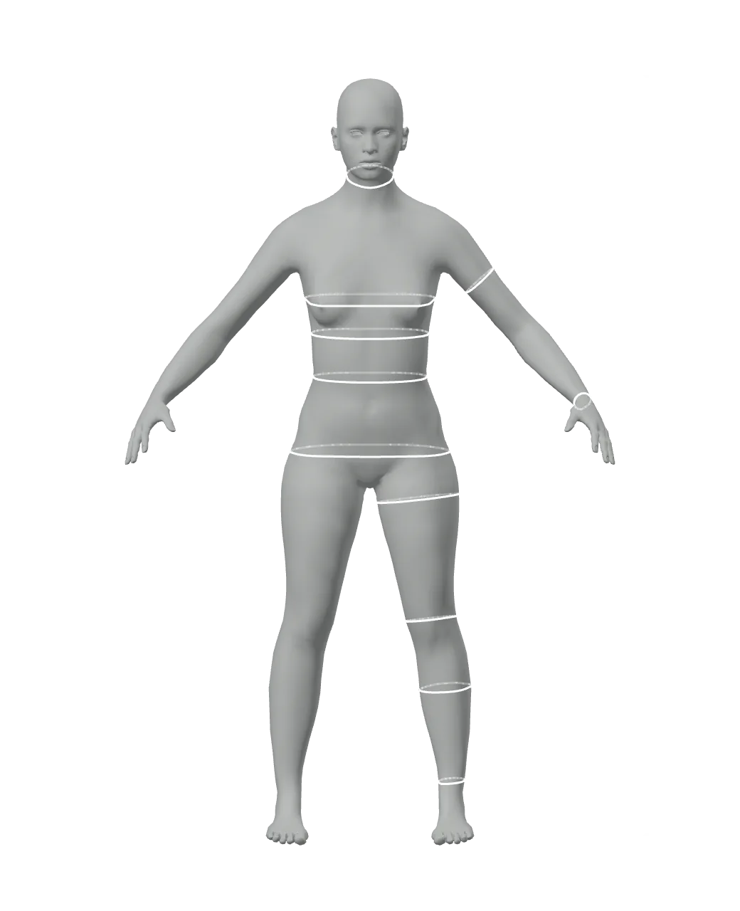 3D body from the front with twelve measurement lines