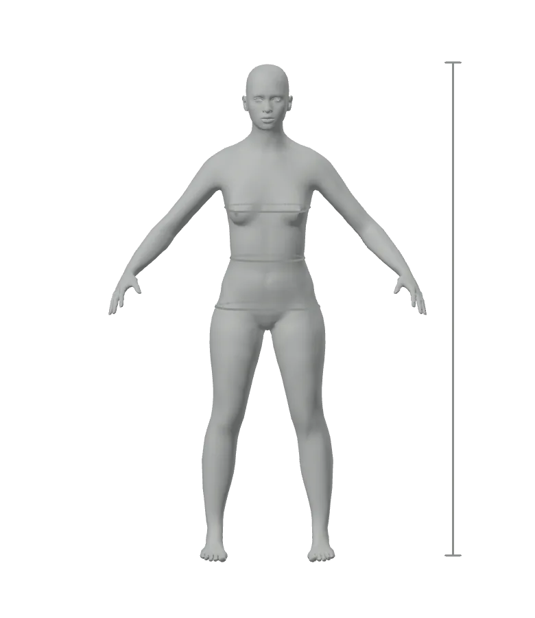 Standing 3D body with its height and three tape lines marked